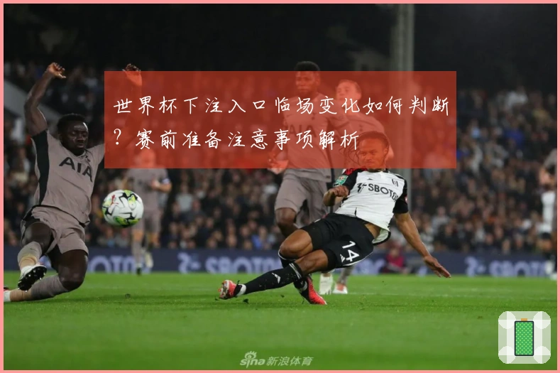 世界杯下注入口临场变化如何判断？赛前准备注意事项解析
