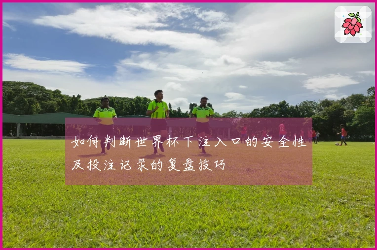 如何判断世界杯下注入口的安全性及投注记录的复盘技巧