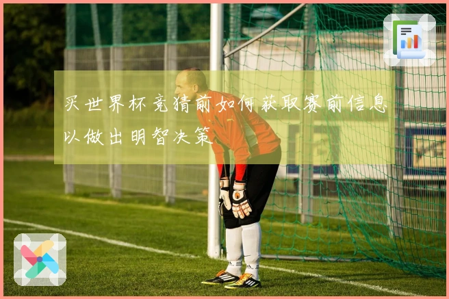 买世界杯竞猜前如何获取赛前信息以做出明智决策